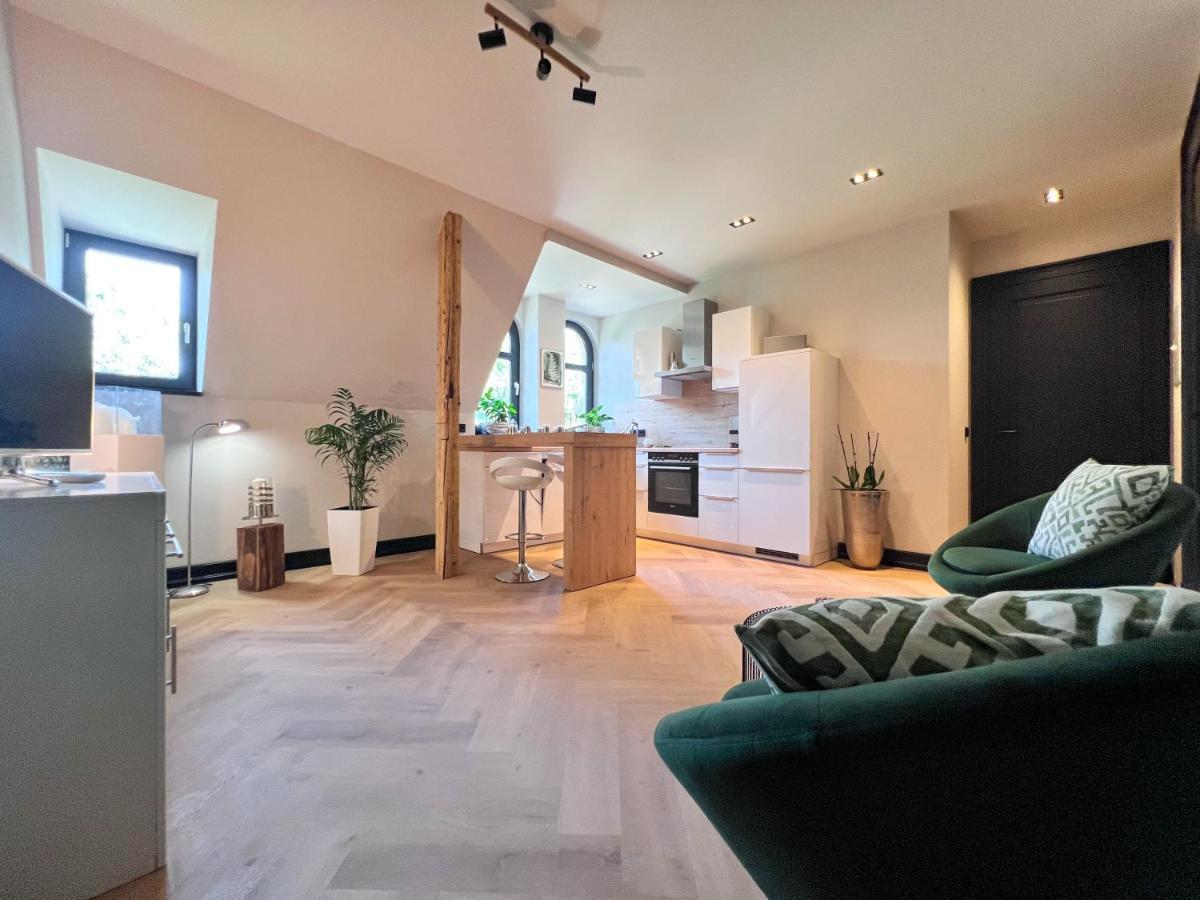 Aussergewoehnliche Ferienwohnung Stadtvilla Плауэн Экстерьер фото